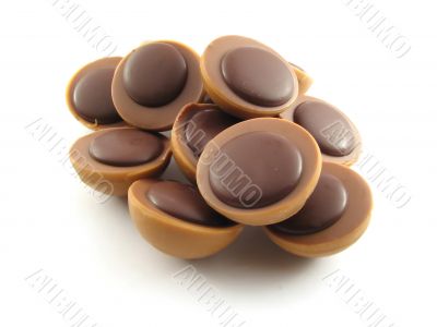 Pieces of chocolate cookies