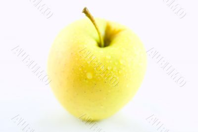 Yellow Apple