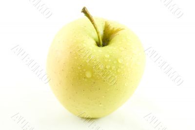 Yellow Apple