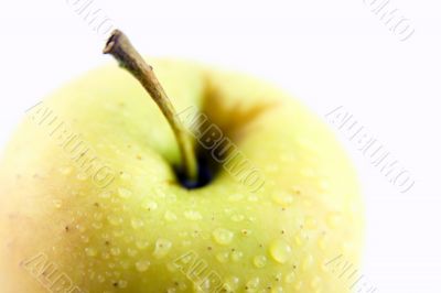 Yellow Apple