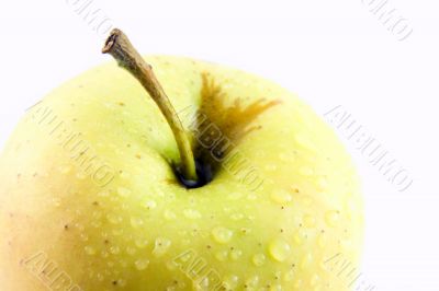 Yellow Apple