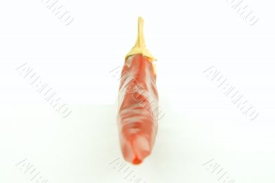 Red chili pepper