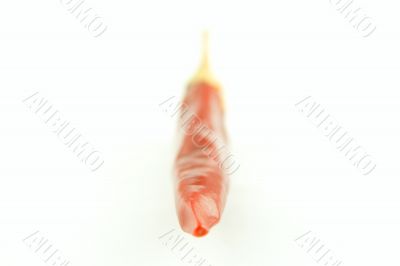 Red chili pepper