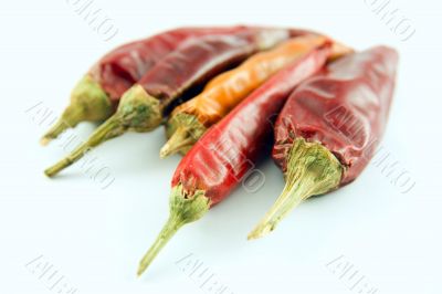 Red and yellow chili pepper