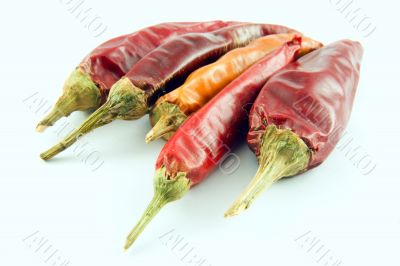 Red and yellow chili pepper