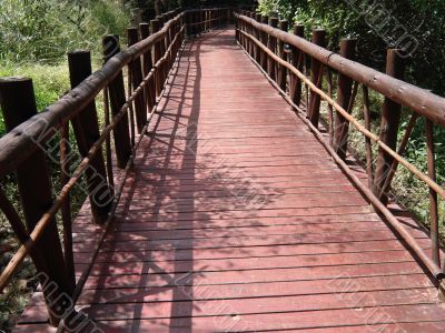Bridge
