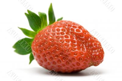 Single Strawberry