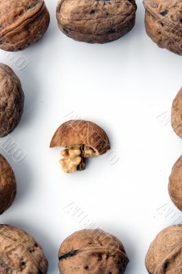 Nut Ingredient