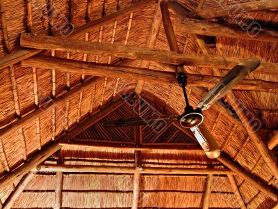 thatched roof