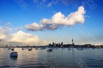 Auckland skyline with blue sky