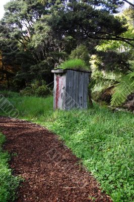 Path to outhouse