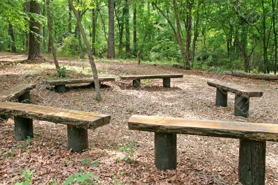 Wood Benches