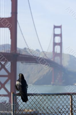 Golden Gate Bridge