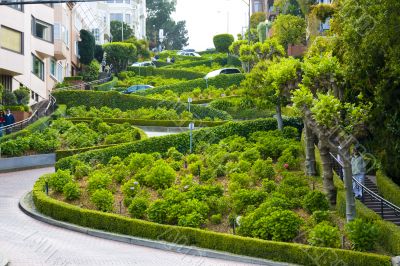 View of Lombard Street
