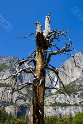 Yosemite Water Falls