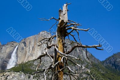 Yosemite Water Falls