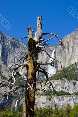 Yosemite Water Falls