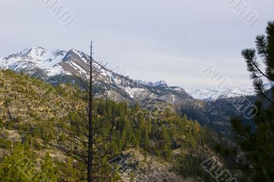 Yosemite National Park