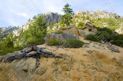 Yosemite National Park
