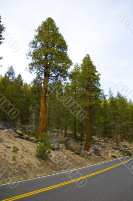 Yosemite National Park