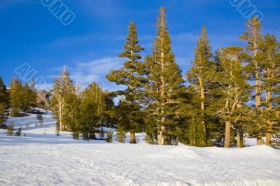 Yosemite National Park