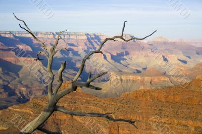 Grand Canyon