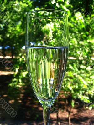 Glass