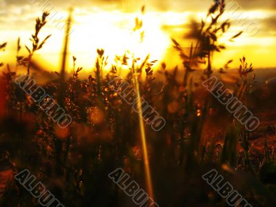 Sundown