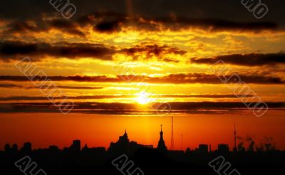 silhouettes of the city