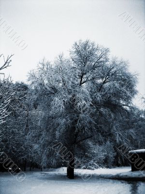 Russian winter