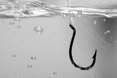 Fish hook