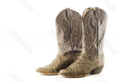 Cowboy boots