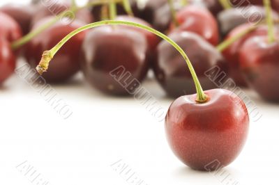 Cherry stand
