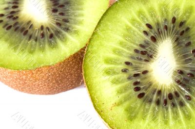 Kiwi close_up