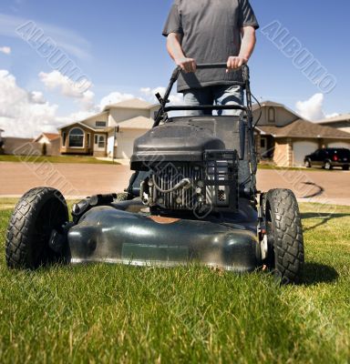 Mow the lawn