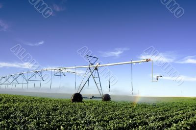 Irrigation