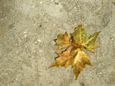 A yellow sheet of concrete.