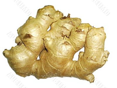 ginger herb