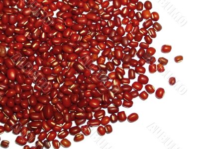 dried red beans
