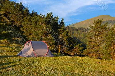 Tent in the green meadow