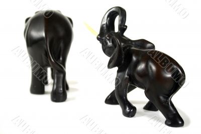 Black Elephants 3