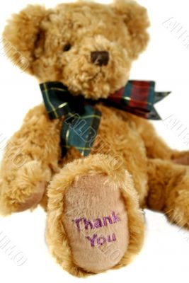 Thank You Teddy 2