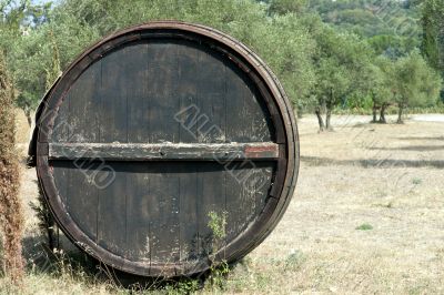 Old wine barrel