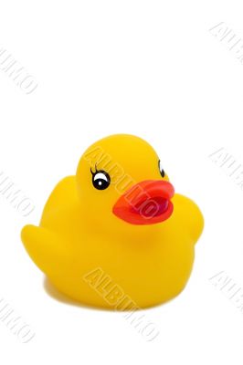 Yellow rubber duck