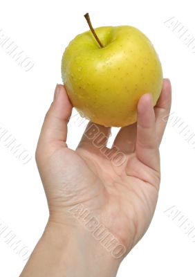 Woman`s hand holding an yellow apple