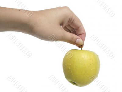 Woman`s hand holding an yellow apple