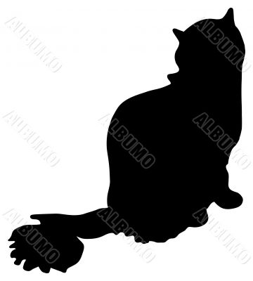 Silhouette of a cat