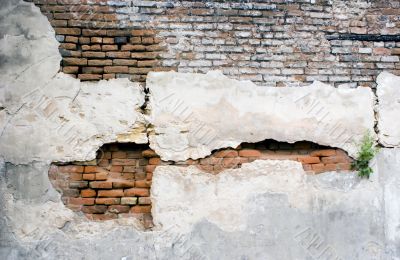 Old Brick Wall