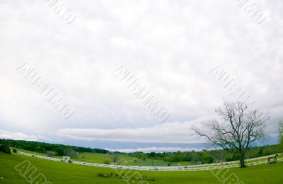Look at those Clouds!