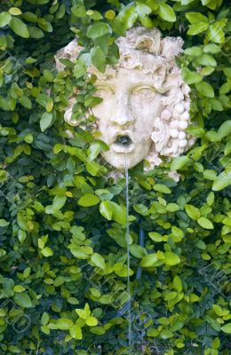 Garden wall fountain